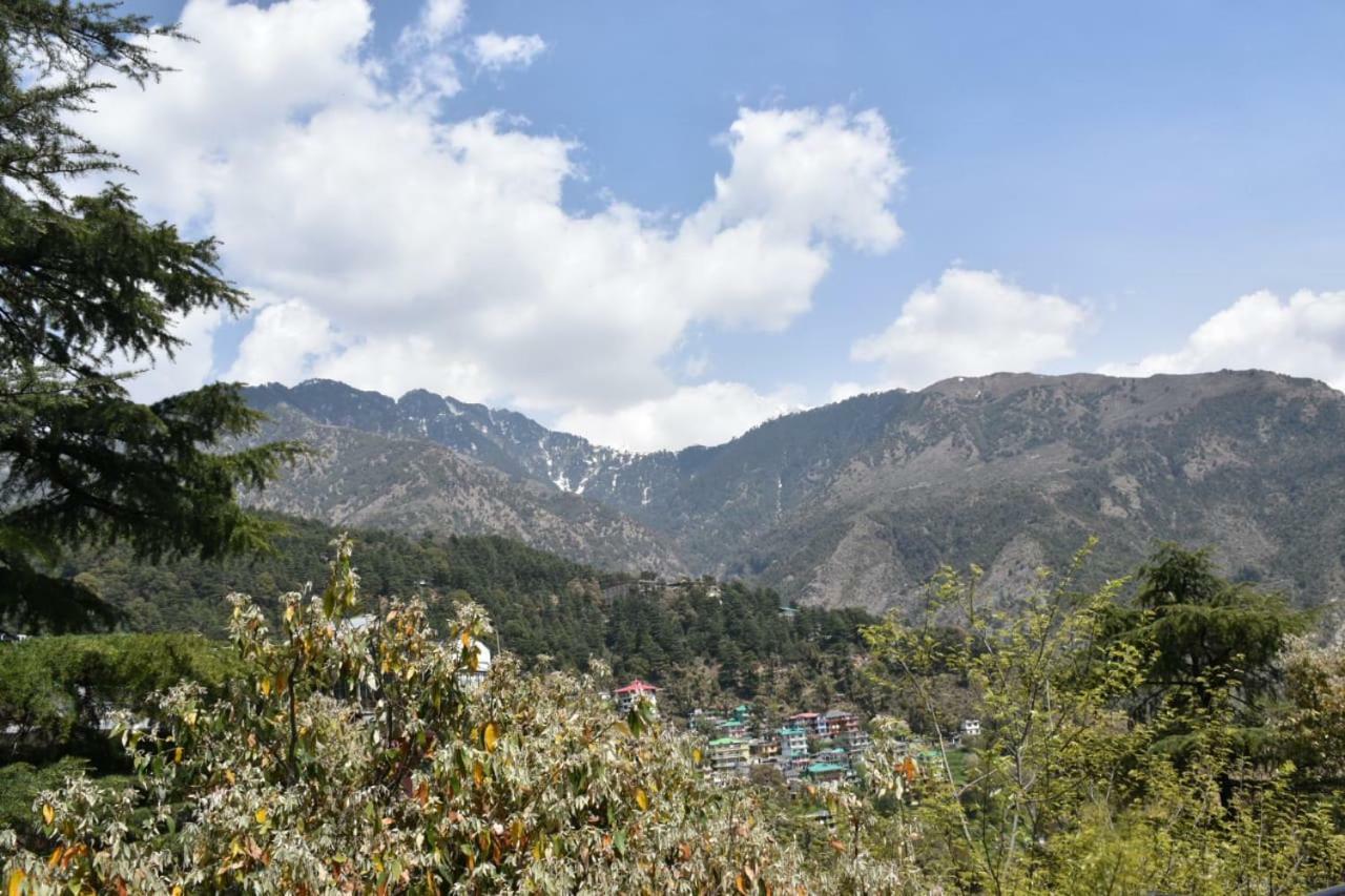 Hotel Misty Woods Dharamsala Exteriér fotografie