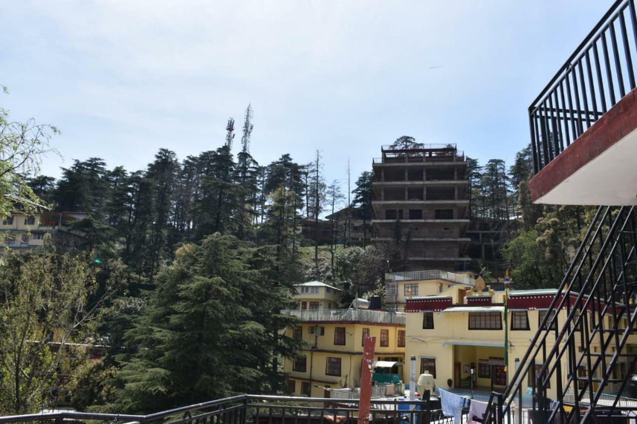 Hotel Misty Woods Dharamsala Exteriér fotografie